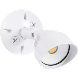 Bejamin 1 Light 4.45 inch Outdoor Wall Light