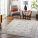 Roswell 120 X 94 inch Light Grey Rug, Rectangle