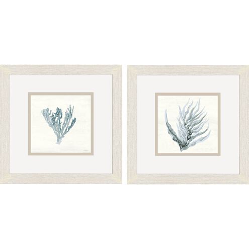 Waterside Collection Distressed Whitewash Framed Art
