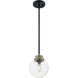 Axis 1 Light 8 inch Matte Black and Brass Accents Pendant Ceiling Light