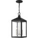 Nyack 3 Light 8.25 inch Black with Brushed Nickel Cluster Outdoor Pendant Lantern