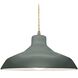 Radiance 1 Light 15.5 inch Pewter Green and Antique Brass Pendant Ceiling Light