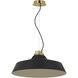 Sean Lavin Forge LED 24 inch Natural Brass Line-Voltage Pendant Ceiling Light in Nightshade Black