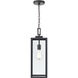 Atless 1 Light 7 inch Powder Coated Black Outdoor Hanging Pendant