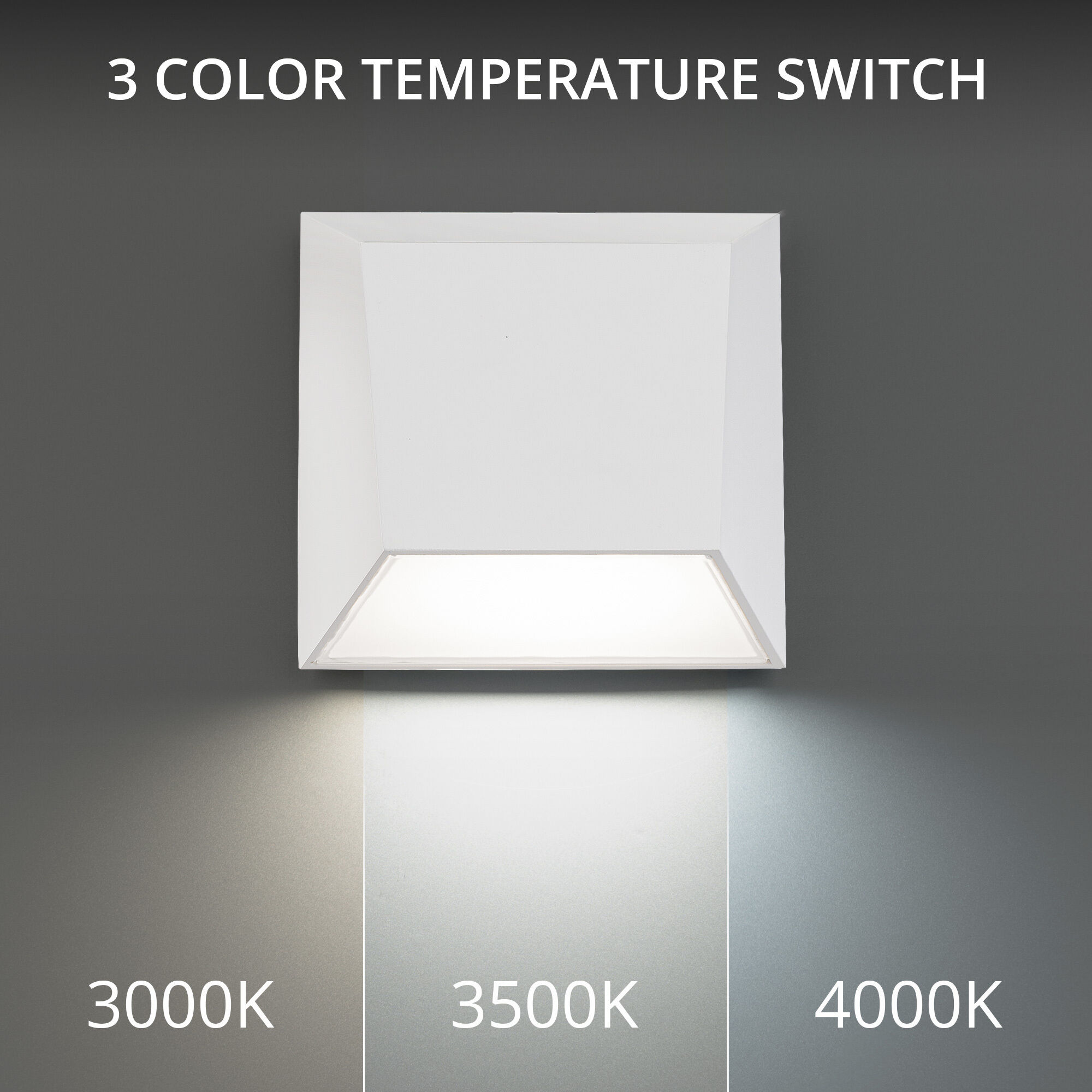 Atlantis LED 6 inch White Outdoor Wall Light in 3000K, dweLED