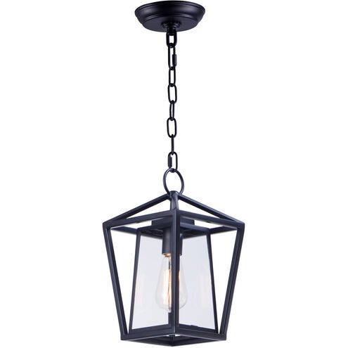 Artisan 1 Light 8 inch Black Outdoor Hanging Lantern