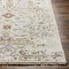 Kushal 108 X 72 inch Tan Rug in 6 X 9, Rectangle
