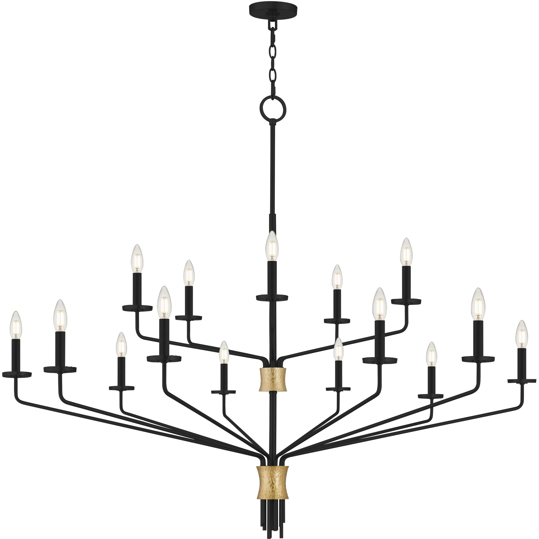Alexander 15 Light 55 inch Matte Black Chandelier Ceiling Light
