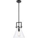 Restoration Newton LED 10 inch Matte Black Mini Pendant Ceiling Light, Restoration