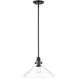 Dwyer 1 Light 15 inch Matte Black Pendant Ceiling Light
