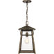 Merle 1 Light 9 inch Statuary Bronze Outdoor Hanging Lantern, Large