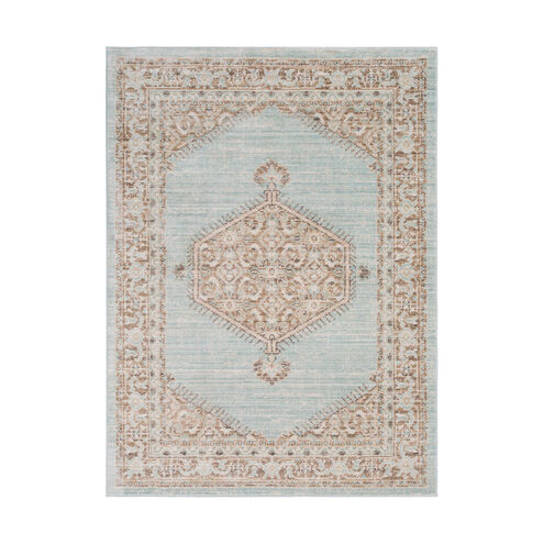 Ayland 65 X 47 inch Sea Foam/Camel/Cream Rugs, Polyester