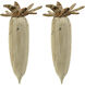 Pinehurst Natural Object