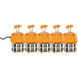 Hi-Pro LED Plug 3-Prong 60.00 watt 5000K LED HID Replacements