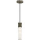 Kane 1 Light 5 inch Matte Smokey Taupe with Polished Nickel Pendant Ceiling Light in Matte Smoky Taupe