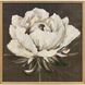 Paragon White and Brown and Multi and Neutral Framed Art