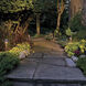 Hardy Island Springfield Classic 12v 1.50 watt Matte Bronze Landscape Path Light