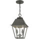 Wentworth 2 Light 9 inch Charcoal Outdoor Pendant Lantern, Medium