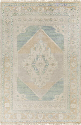 Anadolu 72 X 48 inch Light Sage Rug, Rectangle
