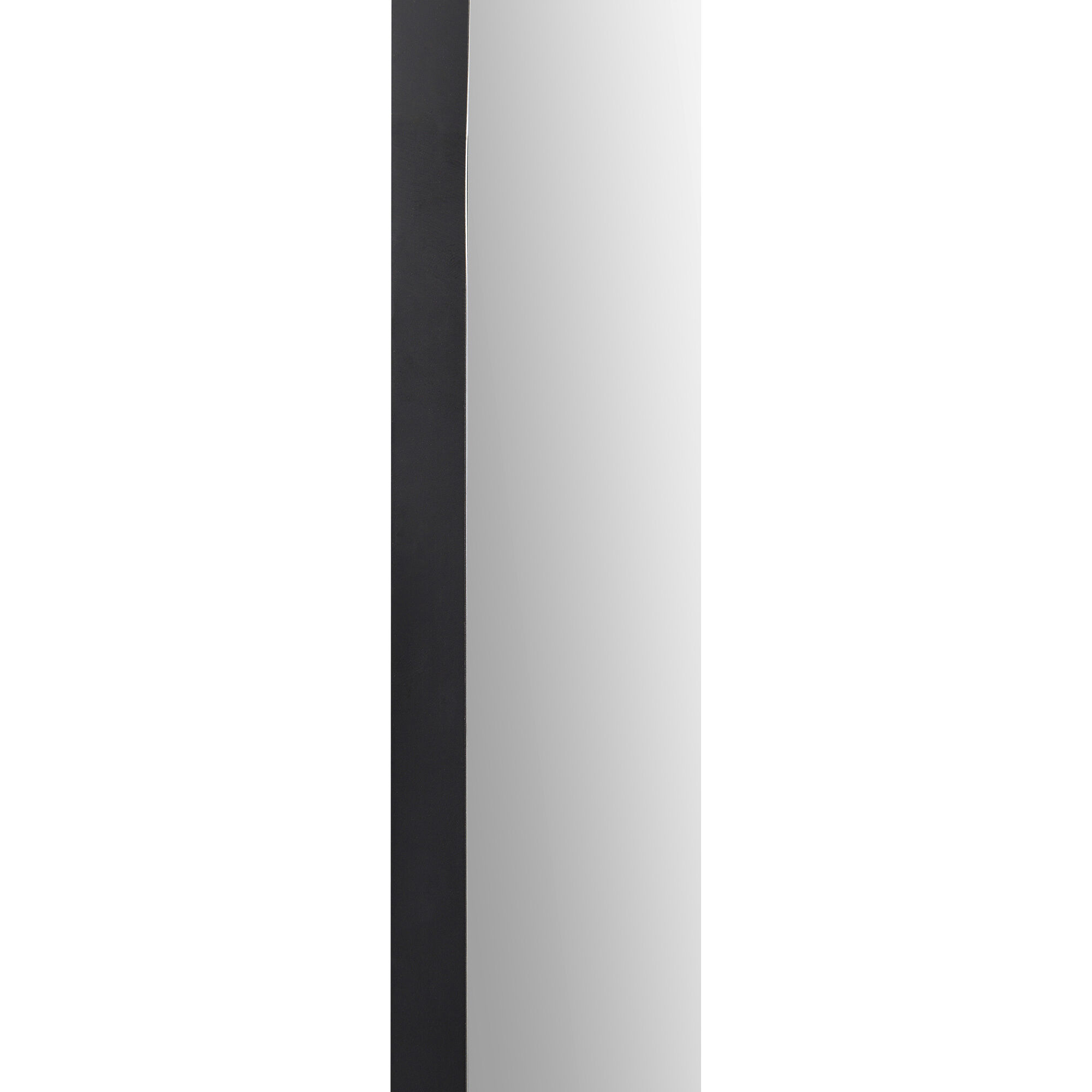 Webster 40 X 26 inch Black Wall Mirror