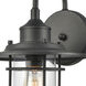 Coastal Farm 1 Light 15 inch Charcoal Outdoor Sconce