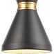 Modley 1 Light 7 inch Matte Black with Brushed Brass Mini Pendant Ceiling Light