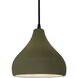 Radiance 1 Light 8 inch Matte Green and Matte Black Pendant Ceiling Light