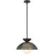 Alora Mood Perth Pendant Ceiling Light in Matte Black