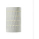 Ambiance Cactus Cylinder LED 5.75 inch Matte White Wall Sconce Wall Light, Small