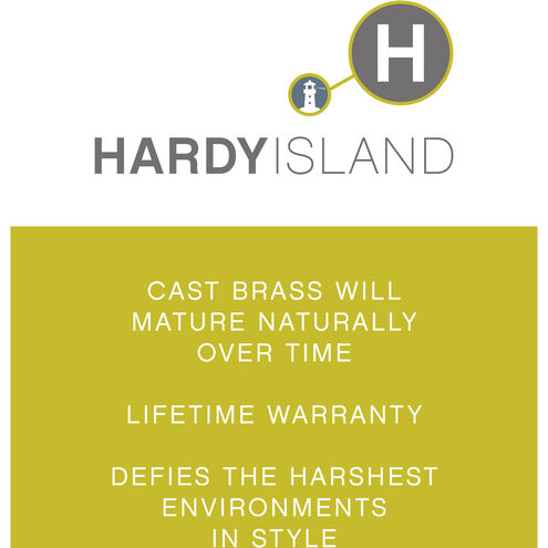 Hardy Island 12v 3.00 watt Matte Bronze Landscape Spot Light in Non-LED