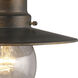 Maritime 1 Light 9 inch Hazelnut Bronze Outdoor Pendant