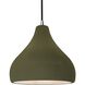 Radiance 1 Light 11.5 inch Matte Green and Brushed Nickel Pendant Ceiling Light