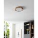 Argyle LED 12 inch Champagne Gold Flush Mount Ceiling Light