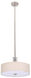 BH Series 20 inch Pendant Ceiling Light, Silver Metal Frame
