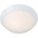 Cobalt 2 Light 13.00 inch Flush Mount