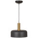 Orsa LED 11.5 inch Black and Brushed Brass Pendant Ceiling Light