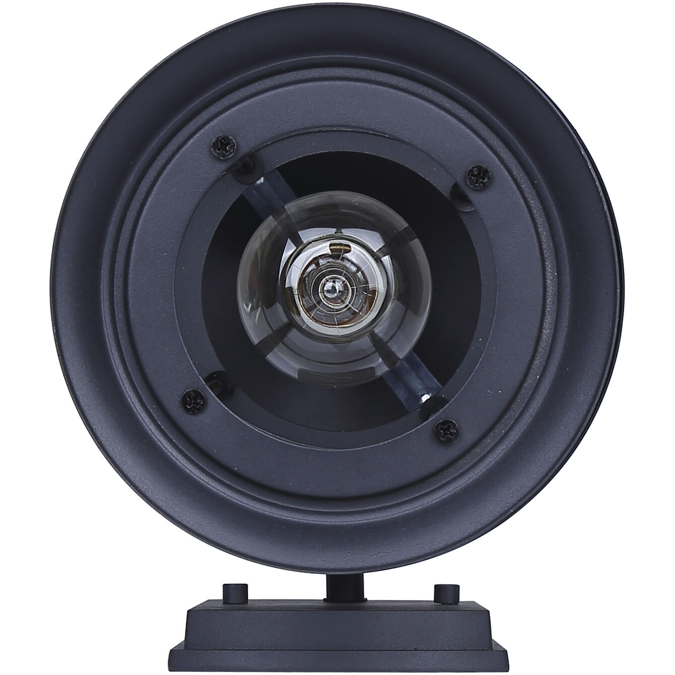 Dakota 1 Light 12.5 inch Black Outdoor Wall Lantern