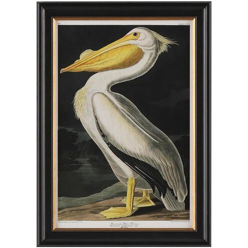 Audubon Collection Group 20.75 X 14.75 inch Giclee, I-A