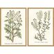 Florals Collection Antique Gold Wood With Embossed Weave Pattern Framed Art