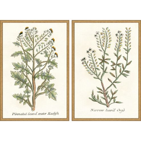 Florals Collection Antique Gold Wood With Embossed Weave Pattern Framed Art