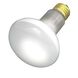 Lumos Incandescent R20 Medium E26 30 watt 120V 2700K Light Bulb