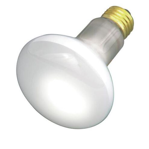 Lumos Incandescent R20 Medium E26 30 watt 120V 2700K Light Bulb