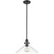 Dwyer 1 Light 15 inch Matte Black Pendant Ceiling Light