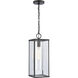 Augusta 1 Light 7 inch Matte Black Outdoor Pendant