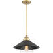 Segan 1 Light 15 inch Coal & Soft Brass (Painted) Mini Pendant Ceiling Light, Outdoor