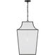ED Ellen DeGeneres Arnio 1 Light 16 inch Aged Iron Pendant Ceiling Light
