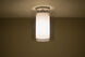 Pahu 1 Light 8 inch Satin Nickel Semi-Flush Mount Ceiling Light in Transparent Smoke/Opal Glass, Incandescent