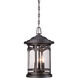 Marblehead 3 Light 11 inch Palladian Bronze Outdoor Hanging