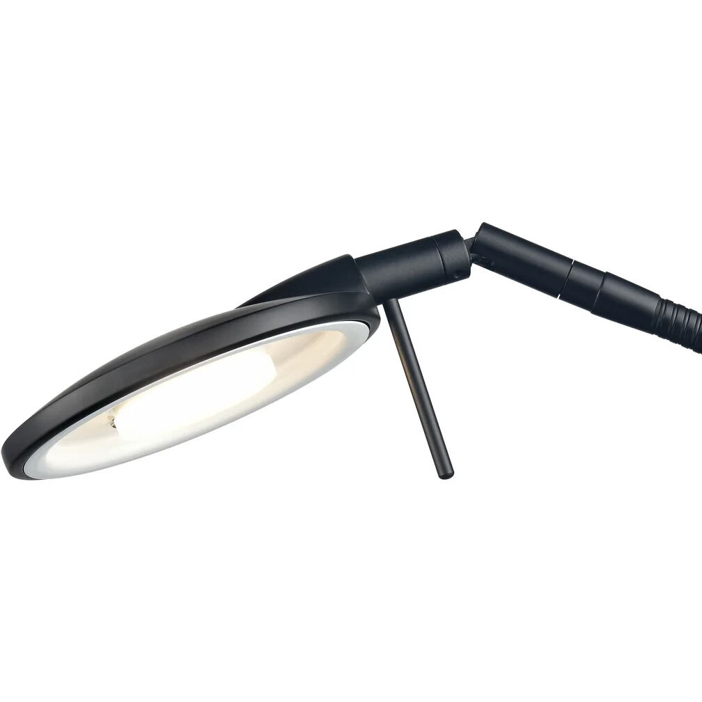 Dessau Flex 18 inch 13.00 watt Museum Black Desk Lamp Portable Light