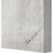 Sirius Grey/White Canvas Art